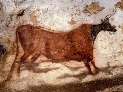 Grotte de Lascaux - Diverticule (paroi gauche), vache à tête noire et à corps rouge